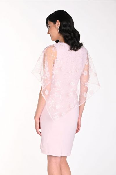 Frank Lyman Blush Dress with Laced Chiffon Overlay Style 242148